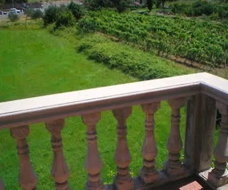 Francesca & Vardia Winery